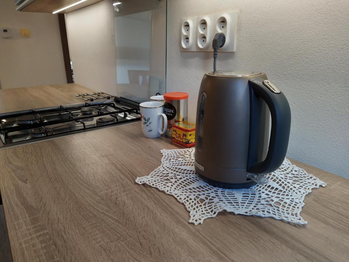 Apartman Banska Bystrica Fortnicka المظهر الخارجي الصورة